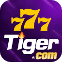 777tiger222.com is down right now today?