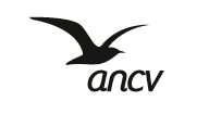 ancv.com is down right now today?