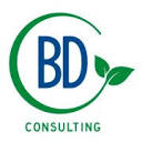 bdconsulting.services is down right now today?