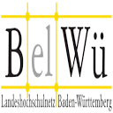 belwue.de is down right now today?