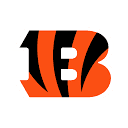 bengals.com is down right now today?