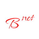 bnetbros.com is down right now today?