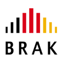 brak.de is down right now today?