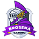 brosena.xyz is down right now today?