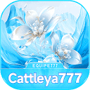 cattleya777.bet is down right now today?