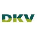 dkvseguros.com is down right now today?