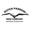 dutch-passion.com is down right now today?