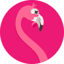 flamingoof.com is down right now today?