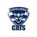 geelongcats.com.au is down right now today?