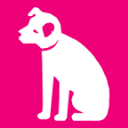 hmv.com is down right now today?