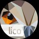 lico.nl is down right now today?