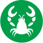 lobster.de is down right now today?