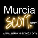 murciascort.com is down right now today?