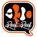 reef2reef.com is down right now today?