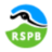 rspb.org.uk is down right now today?