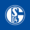 schalke04.de is down right now today?