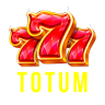 totumcantine.bio is down right now today?