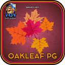 voy-oakleafpg.com is down right now today?