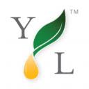 youngliving.com is down right now today?